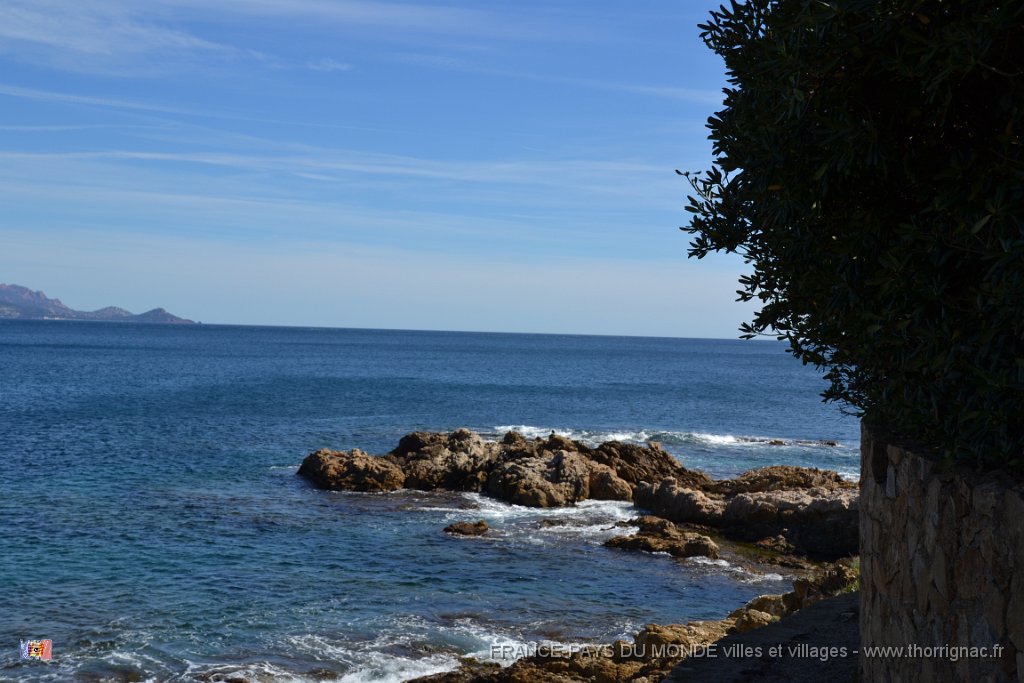 vue depuis les viviers romains 1.JPG - Autour des viviers romains. 02 avril 2015.